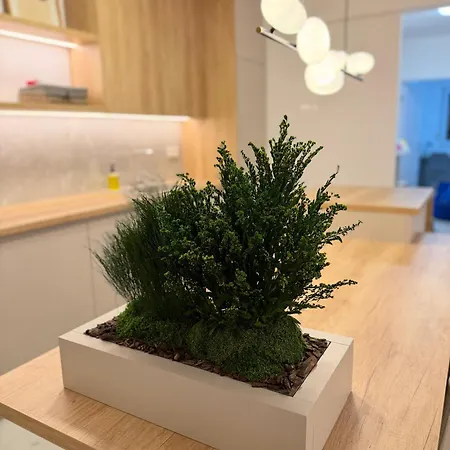 Aura 아파트 사라예보